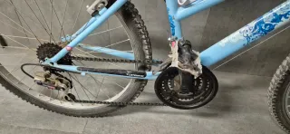 Bicicleta junior azul