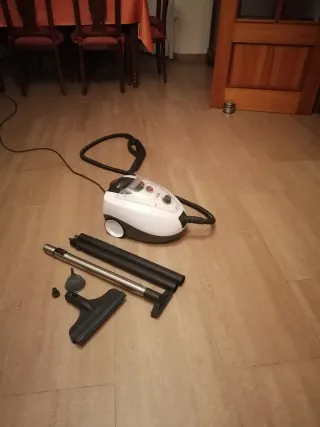 Vaporeta Polti - Buen estado