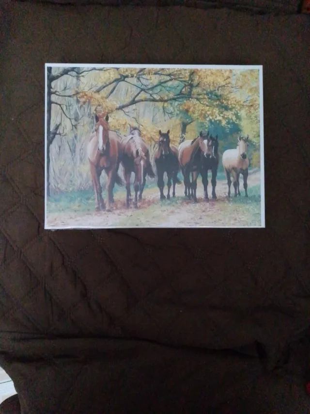 Puzzle 1000 pezzi Cavalli nel Bosco