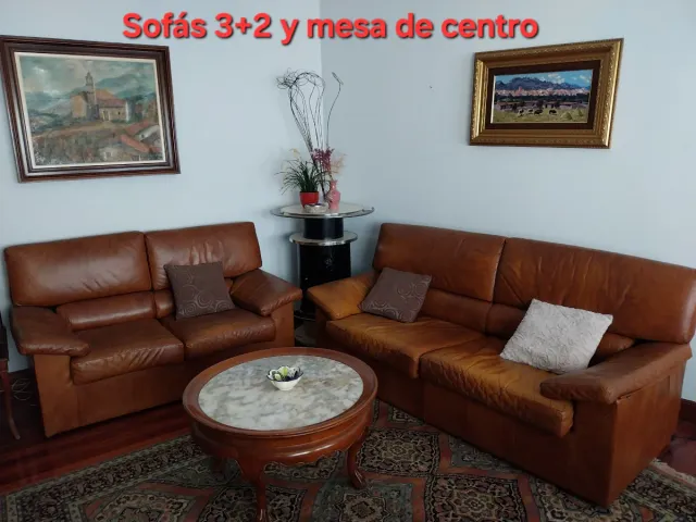 Sofás de 3 y 2 plazas