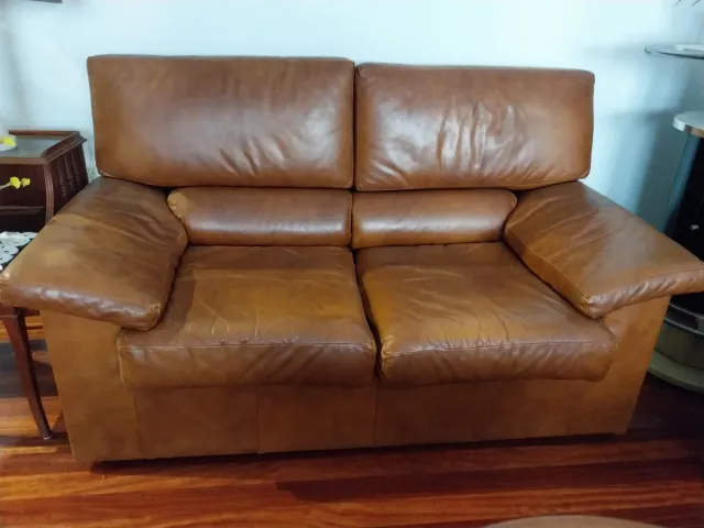 Sofás de 3 y 2 plazas