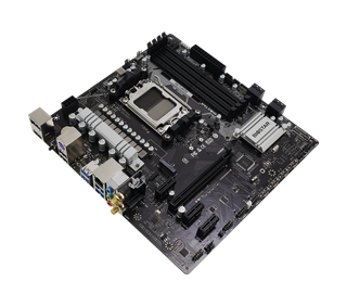 placa base biostar A620MP-E PRO