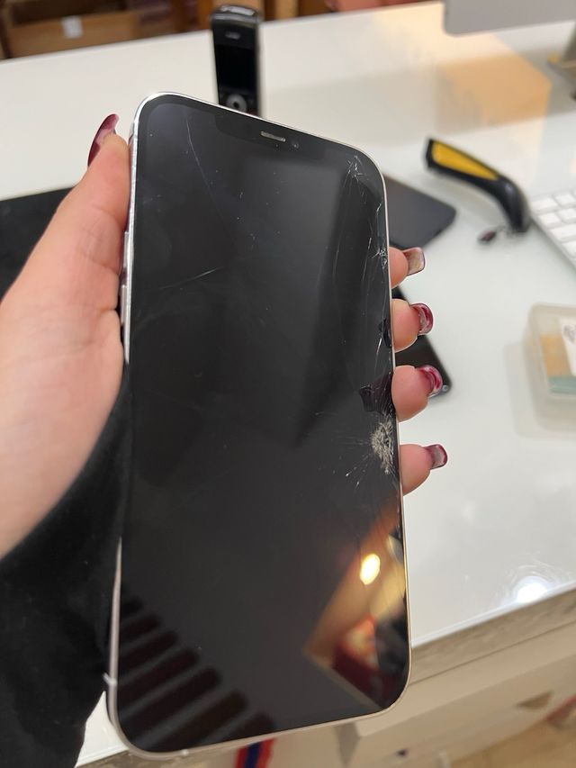 iPhone 12 Pro Max 256GB Bianco Grado C