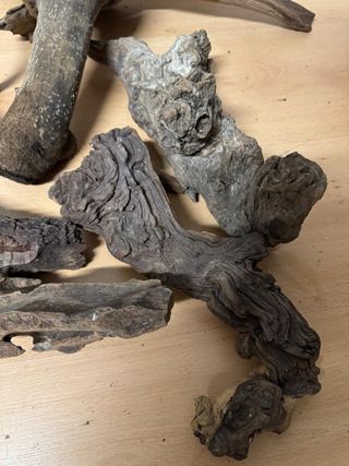 Troncos y corteza para terrarios