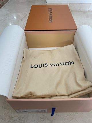 Louis Vuitton Runner Tatic Trainers Grises