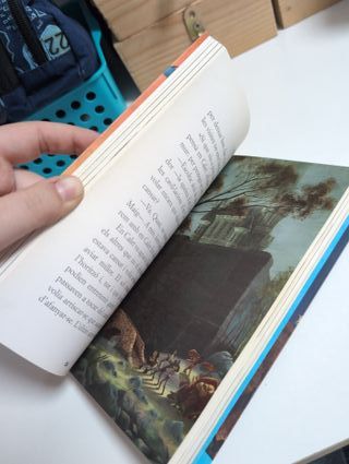 Mondragó. La gran prova. Llibre 1