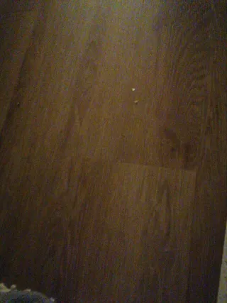 Profesora particular de matemáticas