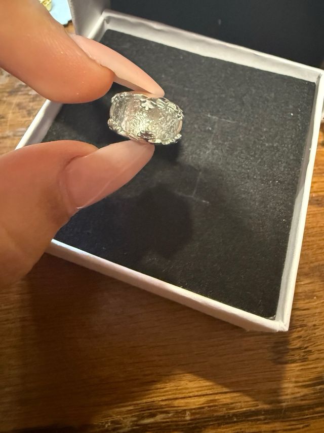 Charm Plata Multicolor