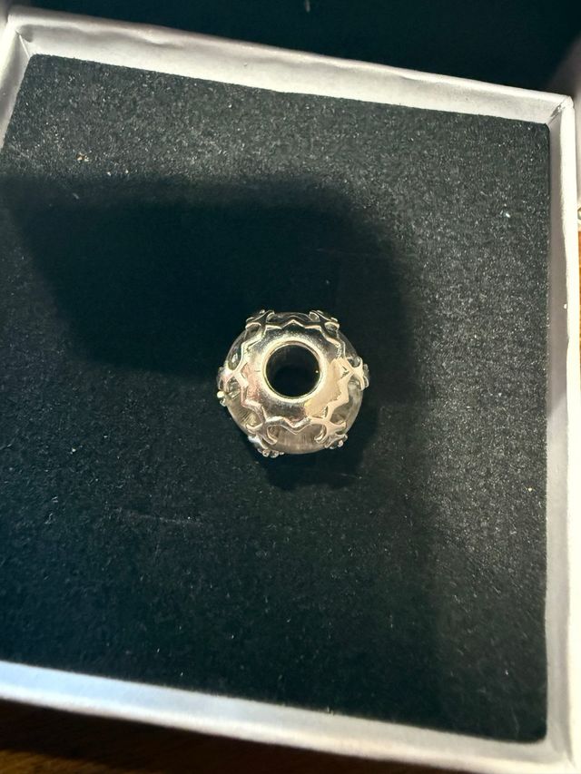 Charm Plata Multicolor