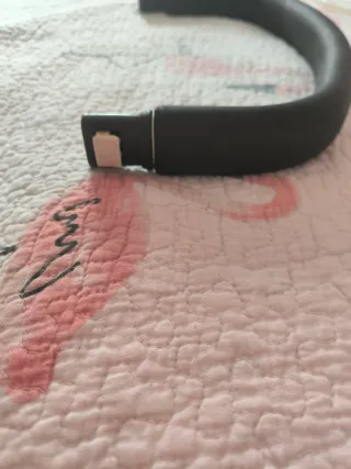 Asa Bugaboo Camaleón 1 y 2