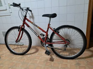 Bicicleta infantil Orbea Alfa 24