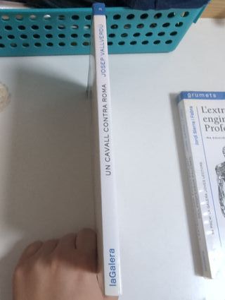 Un cavall contra Roma