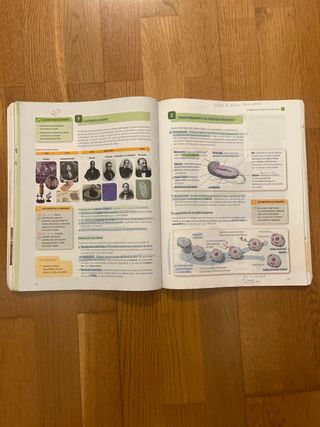 Biología y geología 4º Eso