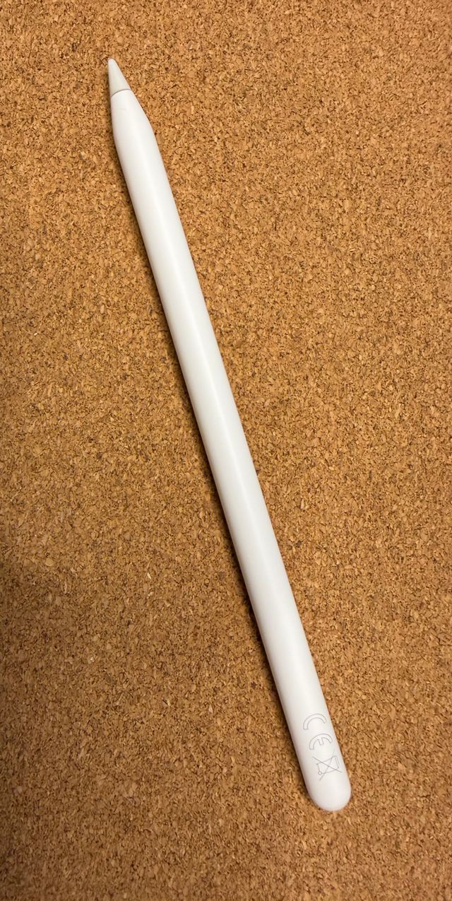 Apple Pencil 2ª Gen
