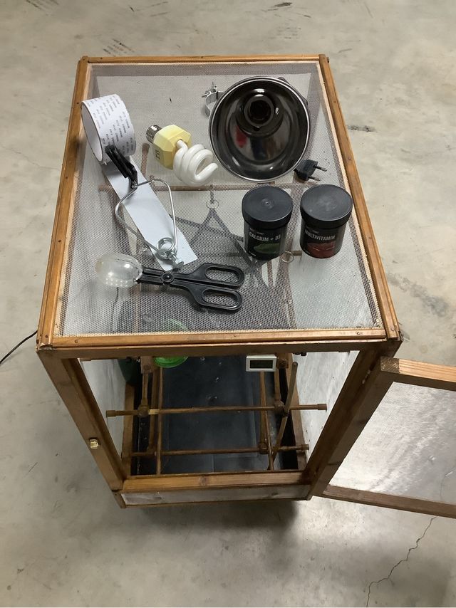 Terrareo jaula camaleon