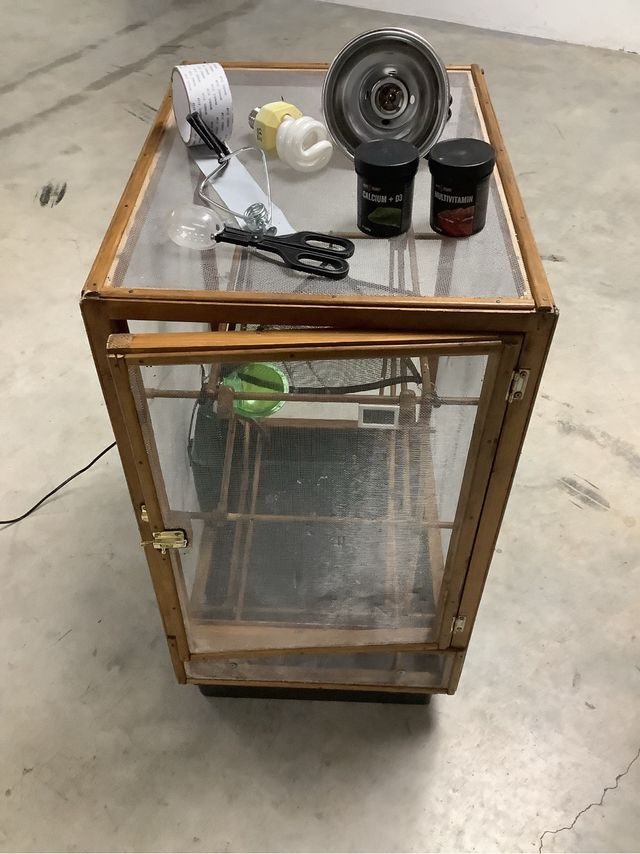 Terrareo jaula camaleon