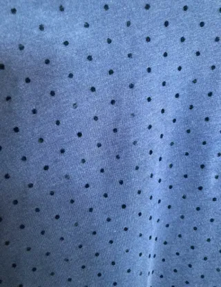 Camiseta Maison Scotch azul manga larga