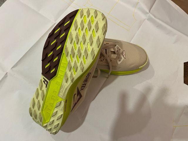 Nike Pegasus Trail 5 GTX Gore-Tex Beige/Rosa