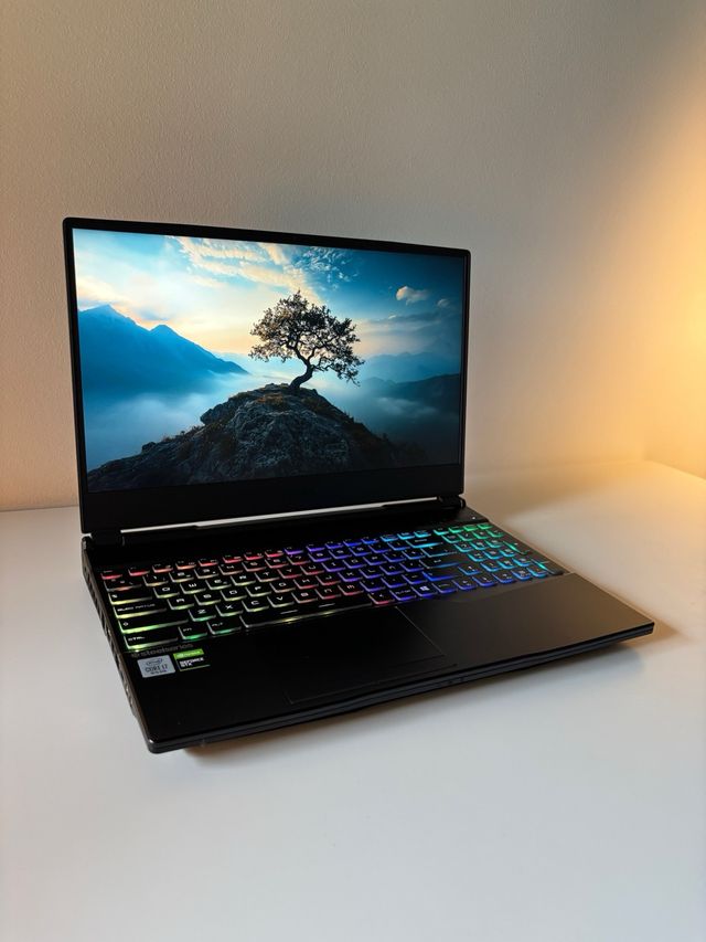 Portátil MSI GL65 Leopard 