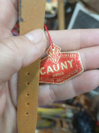 Reloj Cauny Caballero Marrón y Dorado