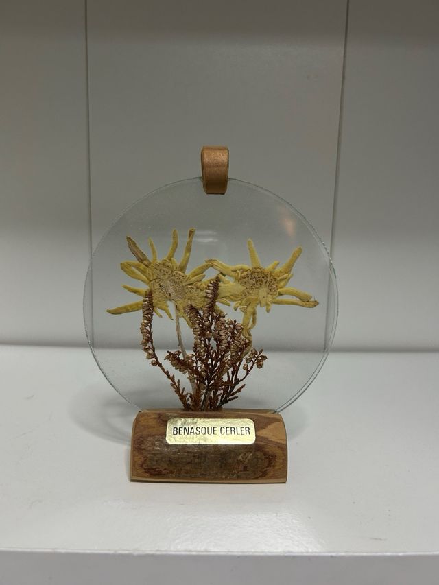 Flor de las nieves - Edelweiss