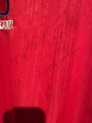 Camiseta Adidas pelota mano