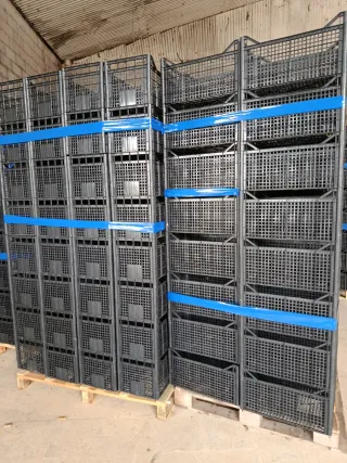 Scatole Cesto in Plastica Nera per Stoccaggio