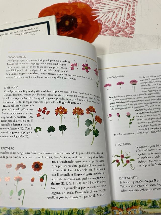 Pittura facile. Scelta e uso dei pennelli, tecn...