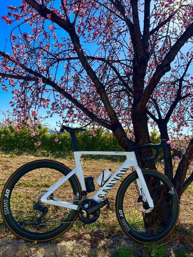 Ruedas DT Swiss 1400