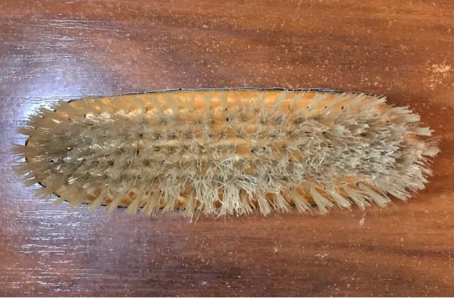 Pente de Prata Gravado do século XX + Presente