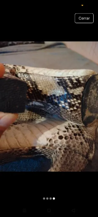 Botines Tacón Mujer Serpiente