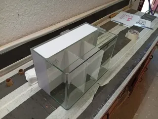 Acuario Betta 3 compartimentos