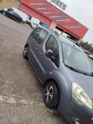 Citroen Berlingo 2010