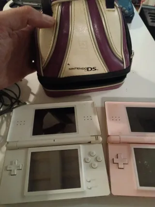 2 Nintendo DS + Bolsa + 2 Cargadores