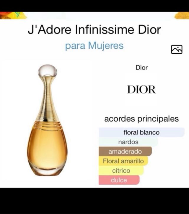 Perfume Le Chameau Parisian Dream