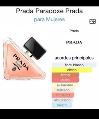 Perfume LE CHAMEAU PARISIAN MEMORIES