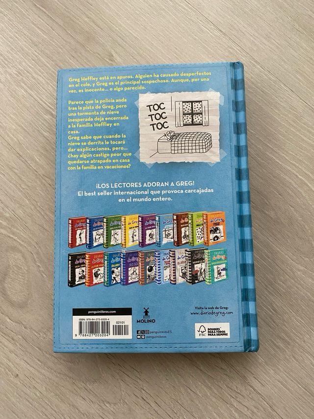 DIARIO DE GREG 6