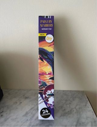 Kit Pintura por Números Neon 40x60cm