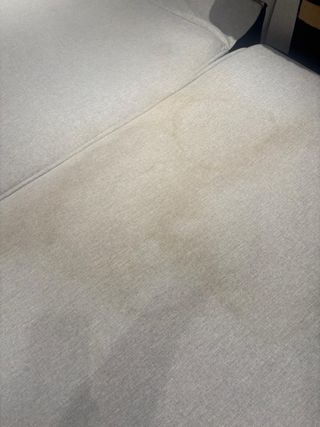 limpieza tapicerías