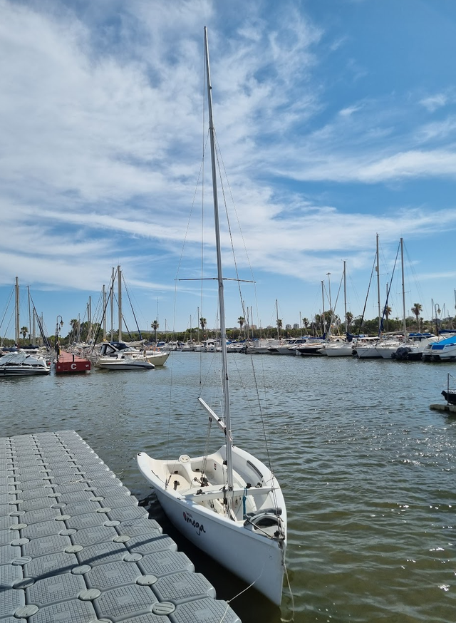 Vela Ligera Topper Omega