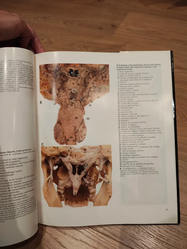 Gran atlas de anatomía humana