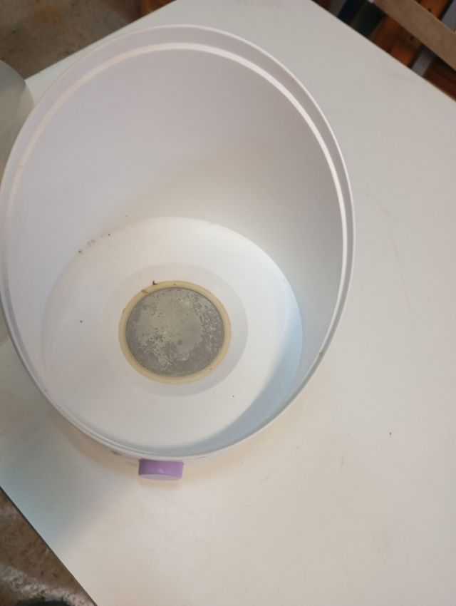 Esterilizador Chicco para biberones