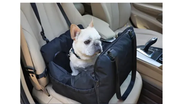 Asiento coche perros pequeños (10 kg)