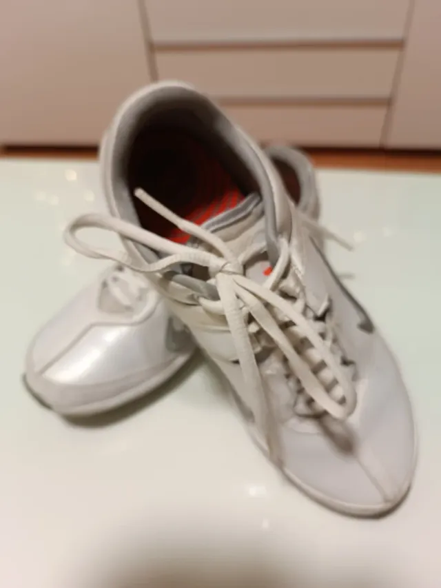 Zapatillas Nike Blancas y Plateadas