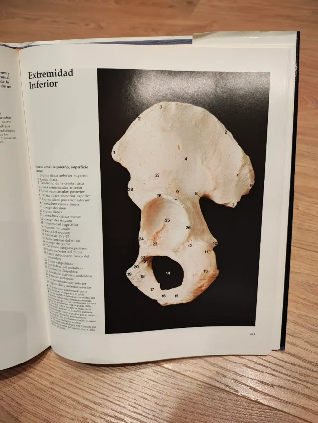 Gran atlas de anatomia humana V. 2