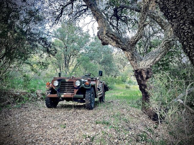 Am general mutt M151 A2 1980