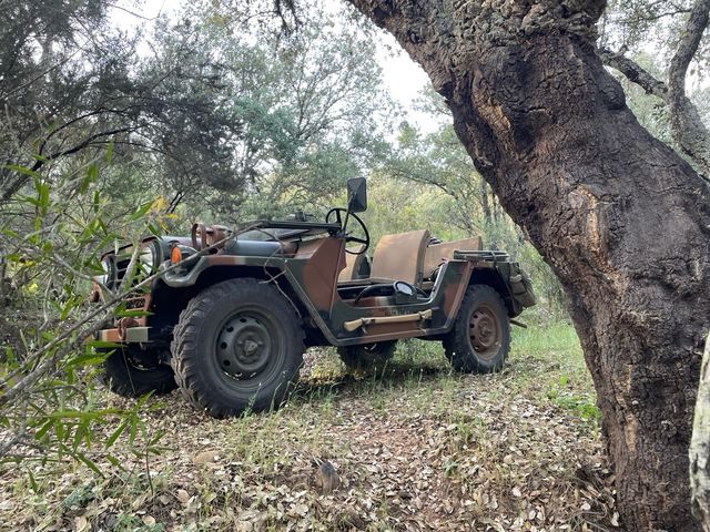 Am general mutt M151 A2 1980