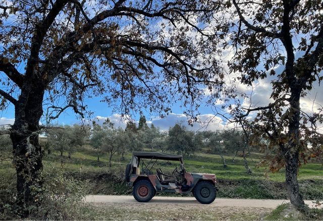 Am general mutt M151 A2 1980