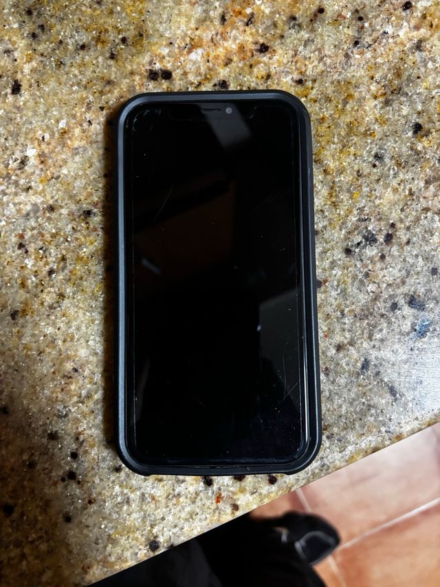 iPhone 11 Negro