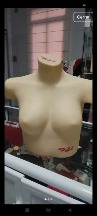 Busto expositor maniquí